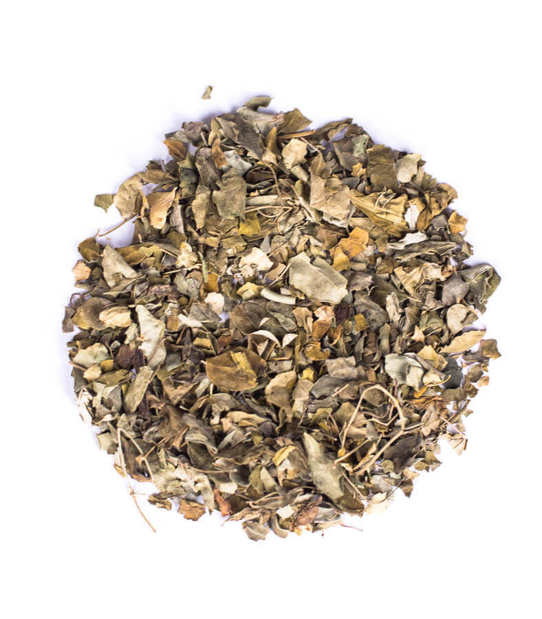 moringa oleifera list na prípravu zdravého čaju